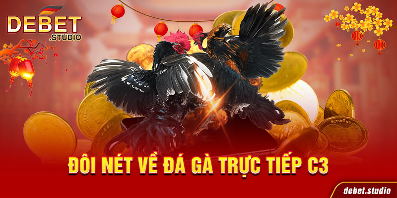 Đôi nét về đá gà trực tiếp C3
