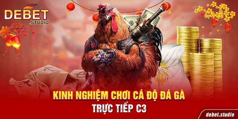 Kinh nghiệm chơi cá độ đá gà trực tiếp C3