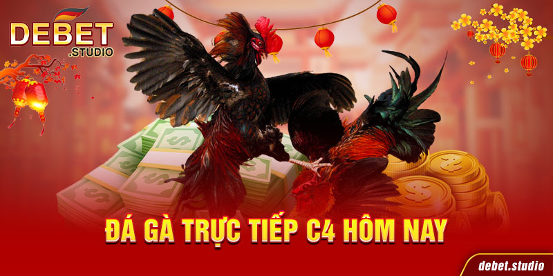 Đá gà trực tiếp C4 hôm nay
