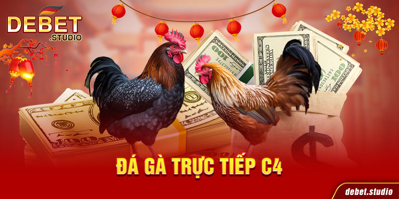 Đá gà trực tiếp C4
