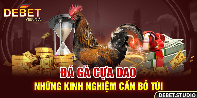 Đá gà cựa dao những kinh nghiệm cần bỏ túi
