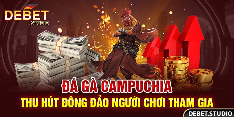 Đá gà Campuchia thu hút đông đảo người chơi tham gia