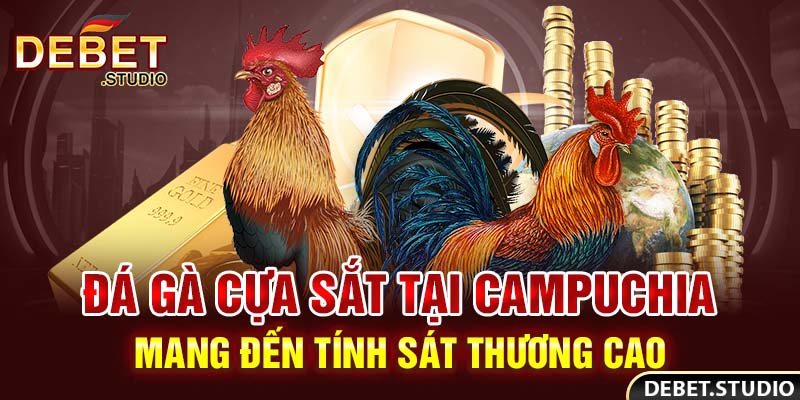 Đá gà cựa sắt tại Campuchia mang đến tính sát thương cao