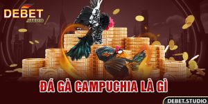 Đá gà Campuchia