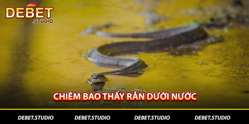 Chiêm bao thấy rắn dưới nước
