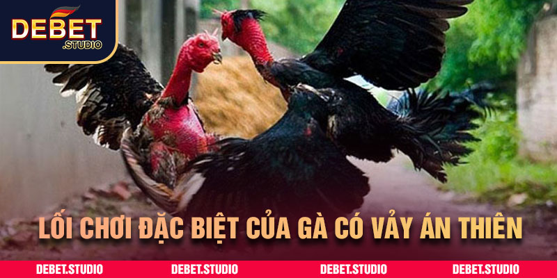 Lối chơi đặc biệt của gà có vảy án thiên