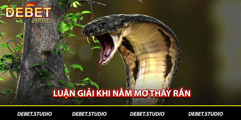 Luận giải khi nằm mơ thấy rắn