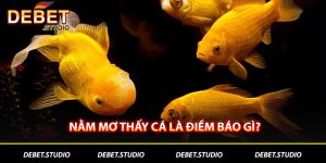 Nằm mơ thấy cá là điềm báo gì debet