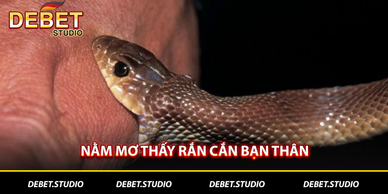 Nằm mơ thấy rắn cắn bạn thân