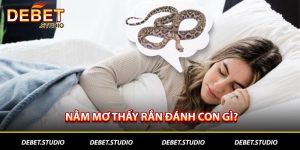 Nằm mơ thấy rắn đánh con gì DEBET