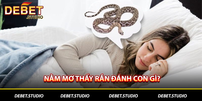 Nằm mơ thấy rắn đánh con gì DEBET