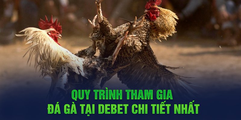 Các quy định của bộ môn đá gà anh em cần biết