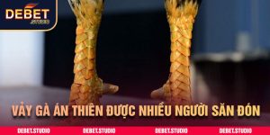 Vảy gà án thiên được nhiều người săn đón