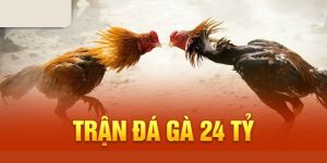 Tổng quan trận gà 24 tỷ lịch sử