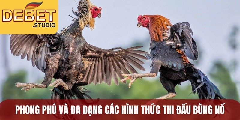 Phong phú và đa dạng các hình thức thi đấu bùng nổ