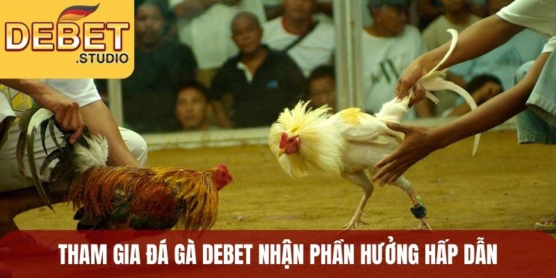 Tham gia đá gà Debet nhận phần hưởng hấp dẫn